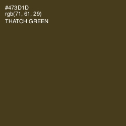 #473D1D - Thatch Green Color Image